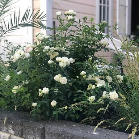 Uniikki Ja Tunnelmallinen Empireasunto Haemeenlinnan Ydinkeskustassa *