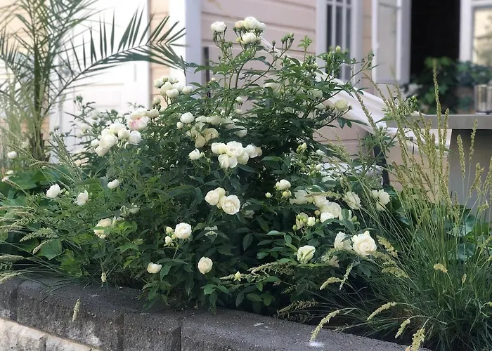 Uniikki Ja Tunnelmallinen Empireasunto Haemeenlinnan Ydinkeskustassa *